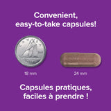 Webber Naturals Emballage Bleuet 36:1 – boîte prête à l'emploi