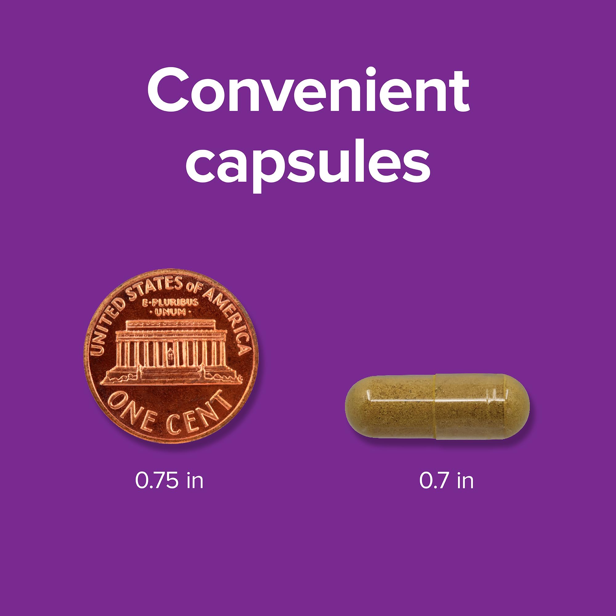 Extrait Artichaut Webber Naturals — aide possible à la digestion