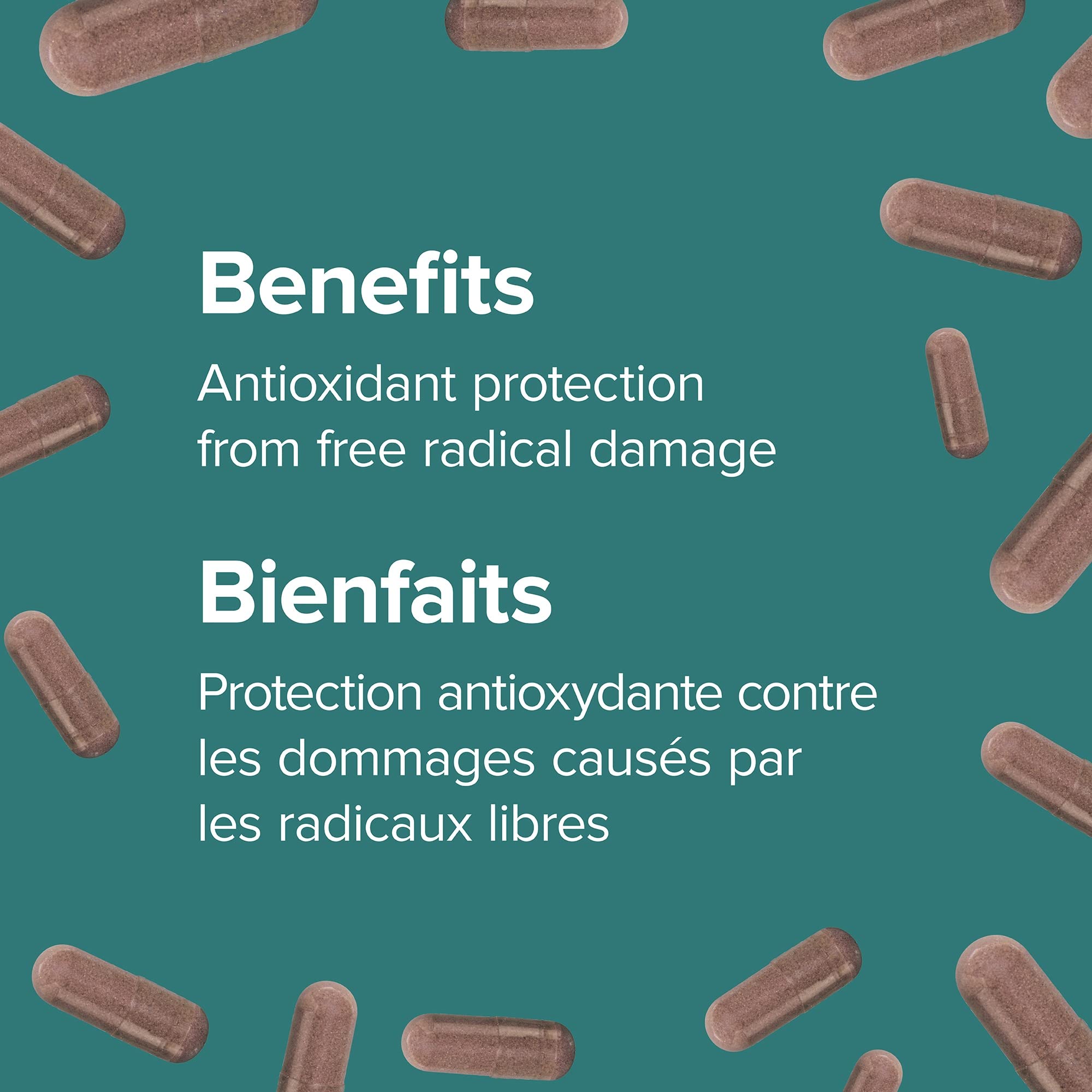 Webber Naturals Visuel Bouteille Bleuet – design simple et fonctionnel