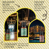 Parfums Citrus Luxe WECONA, note rafraîchissante et agréable.