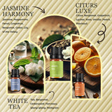 Parfums White Tea WECONA, diffusion douce et sophistiquée.