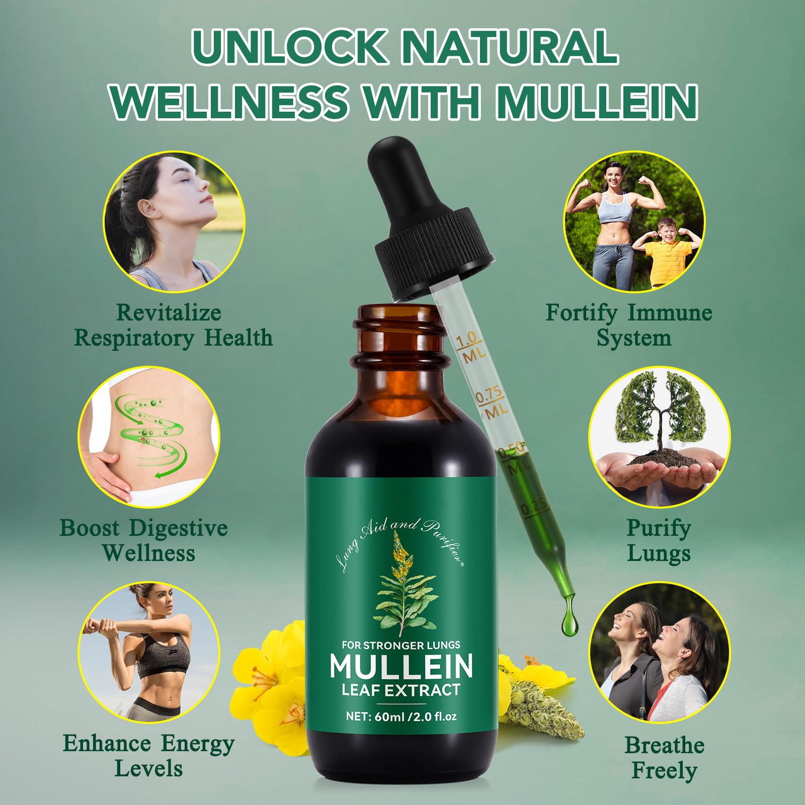 WeiWeiLa feuilles molene, extrait naturel pour soutenir les voies respiratoires.