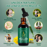 WeiWeiLa feuilles molene, extrait naturel pour soutenir les voies respiratoires.