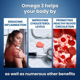 Well of Life Omega-3 – conditionnement sécurisé: flacon pratique pour usage domestique