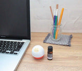 WELL ORIGIN diffuseur pierre chat porte-bonheur dans le salon offre une pause sensorielle