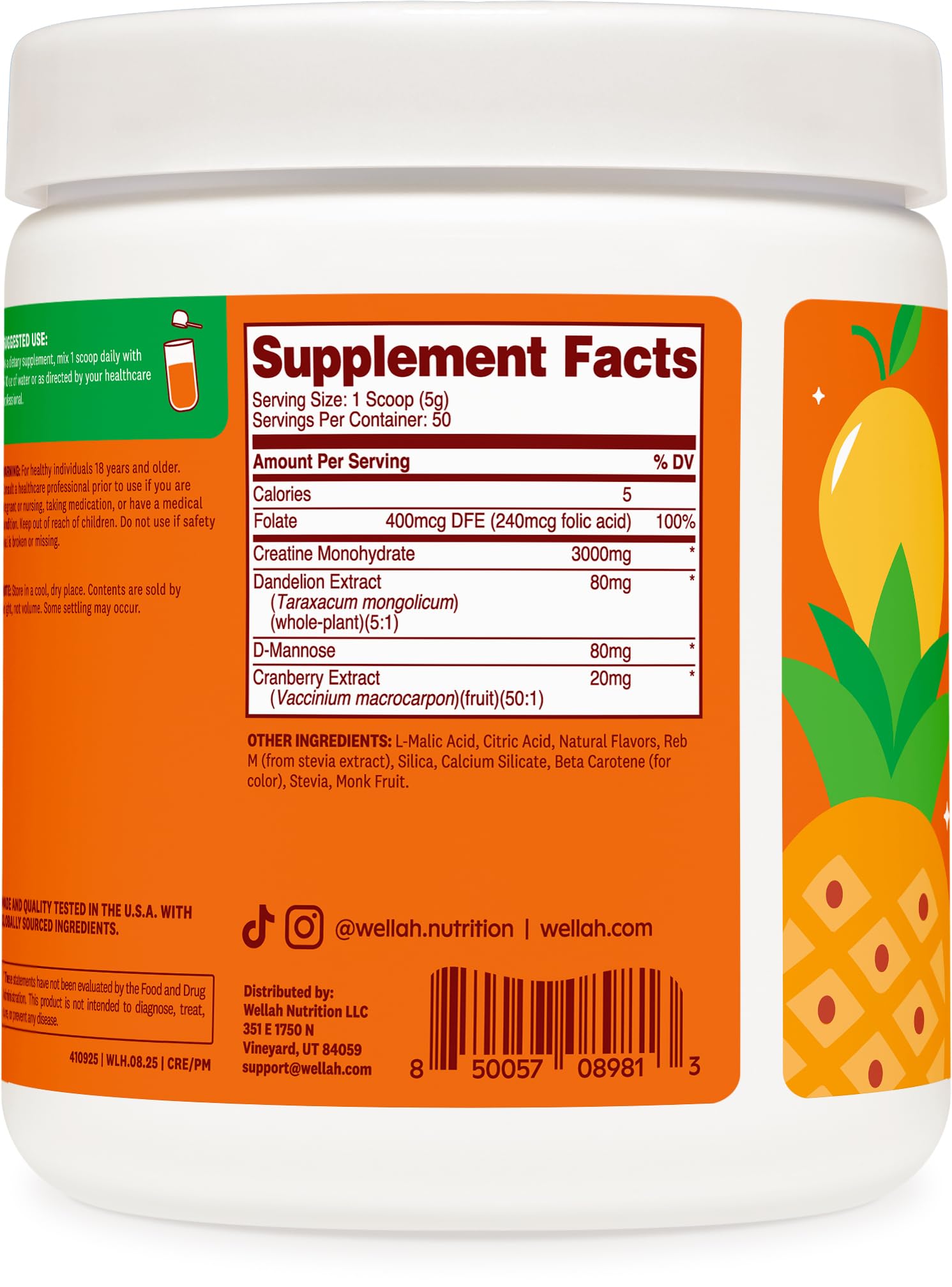 Wellah Creatine pour femme – extraits dent-de-lion et canneberge.