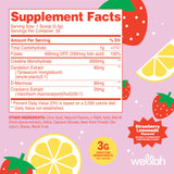 Bouteille Wellah Creatine, 50 portions, format pratique pour chaque séance.