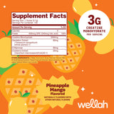 Wellah Créatine pour femmes – doseur pratique et 100 portions, facilite une routine sportive régulière.