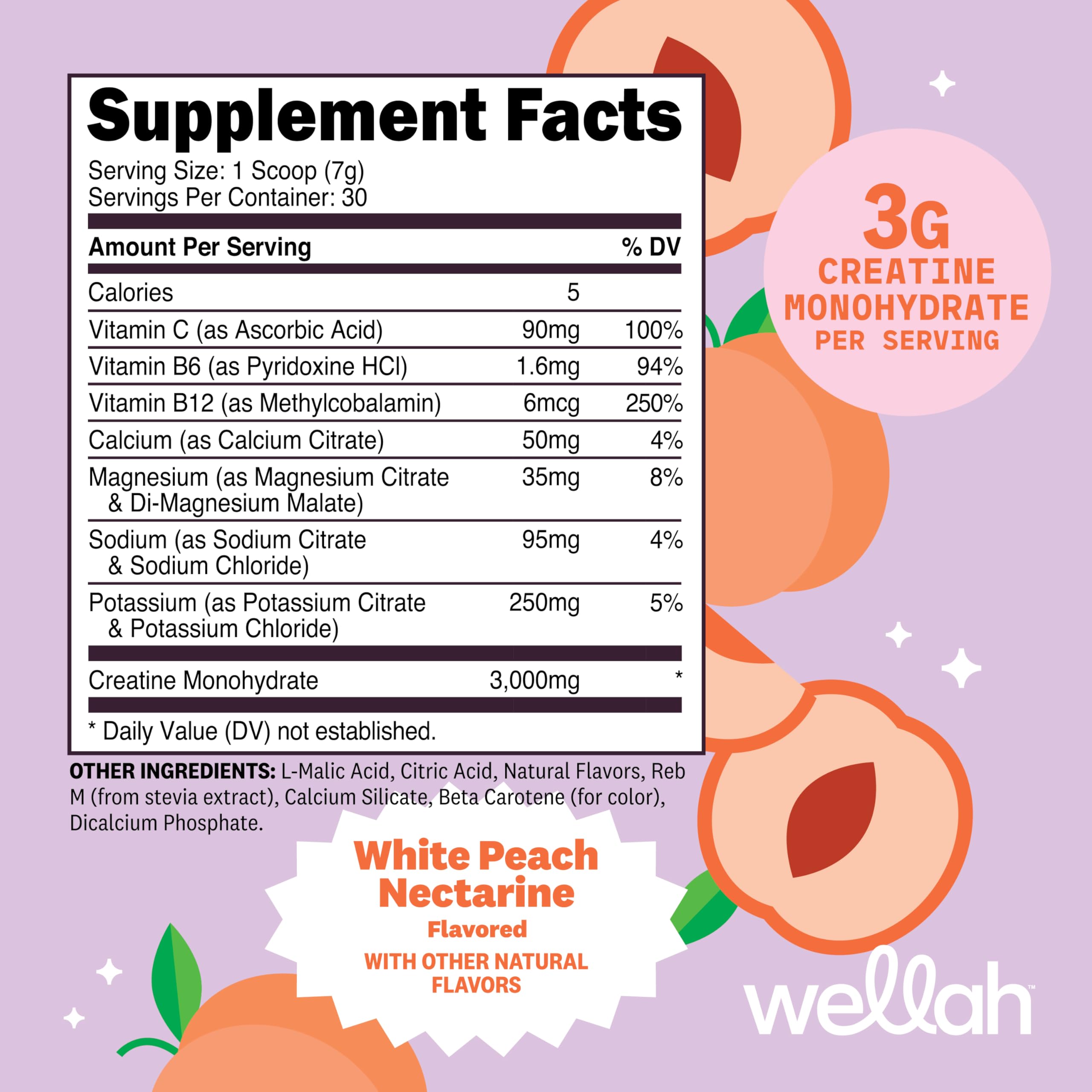 Wellah Creatine + Hydration: bouteille durable de 30 portions pour salle ou bureau