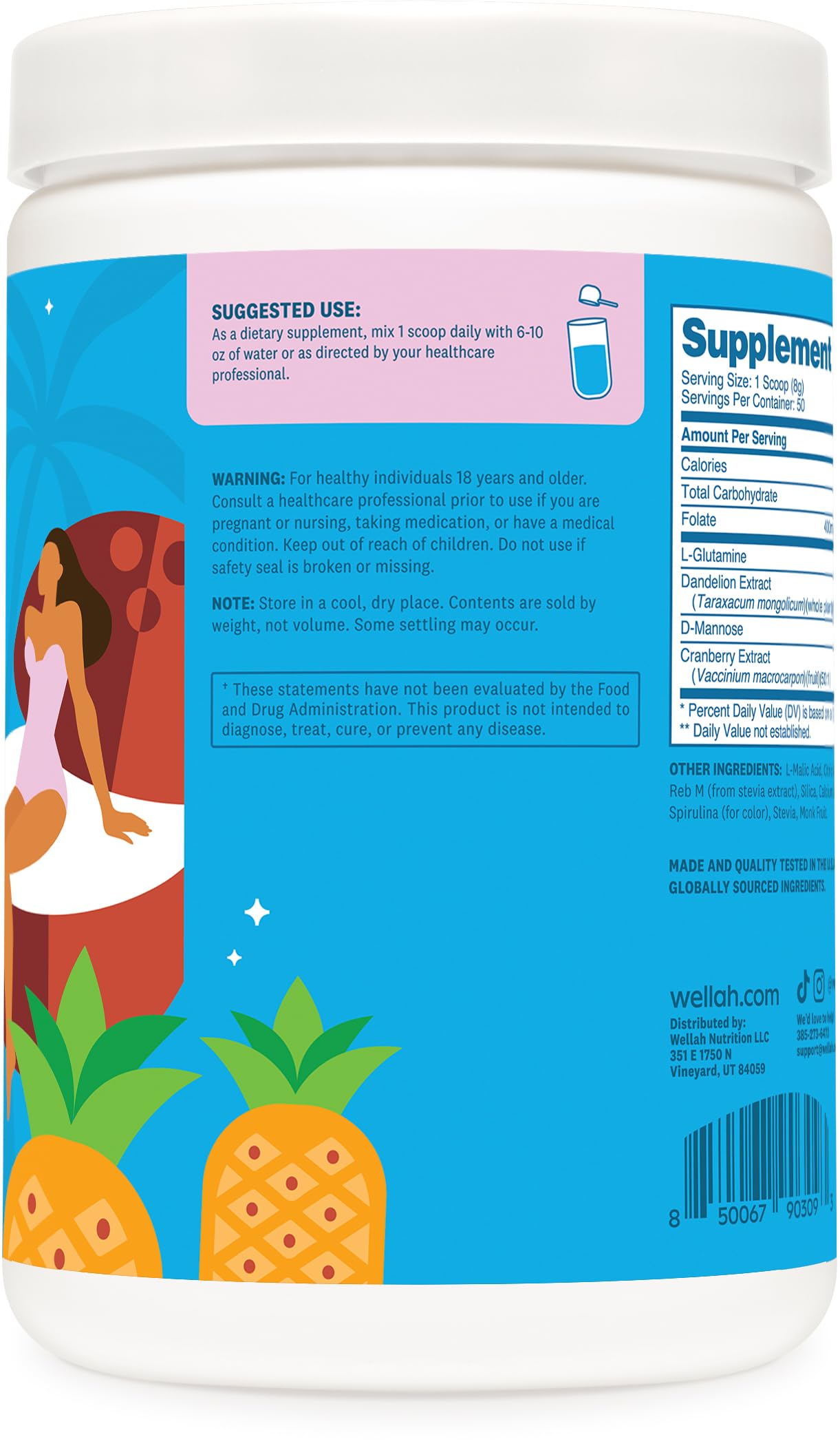 Ingrédients folate, pissenlit, uva-ursi et canneberge pour une association naturelle
