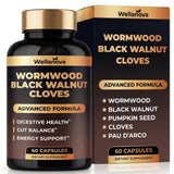Wellanova capsules dans bouteille, soutien digestif potentiel au quotidien.