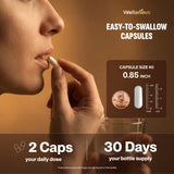 Girofle: Wellanova apporte des antioxydants naturels pour la digestion.