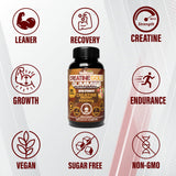 WellBoost Creatine Gold - emballage principal compact pour le rangement.