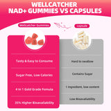 Wellcatcher NAD Plus Gummies ingrédients NR 1000 mg et TMG pour énergie potentielle.