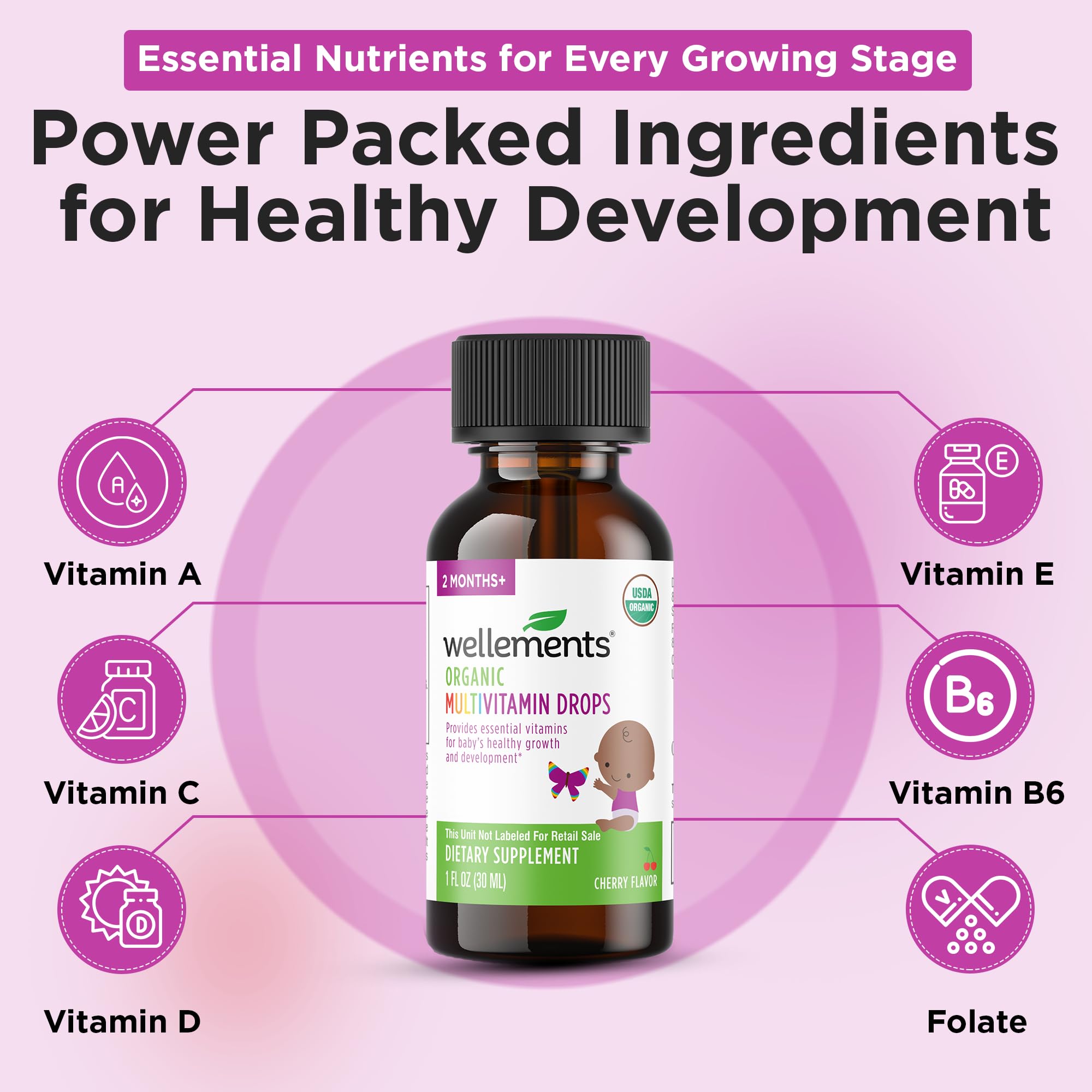 Ingrédients simples Wellements pour une routine nutritionnelle quotidienne.