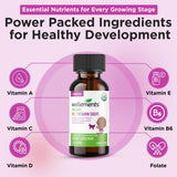 Ingrédients simples Wellements pour une routine nutritionnelle quotidienne.