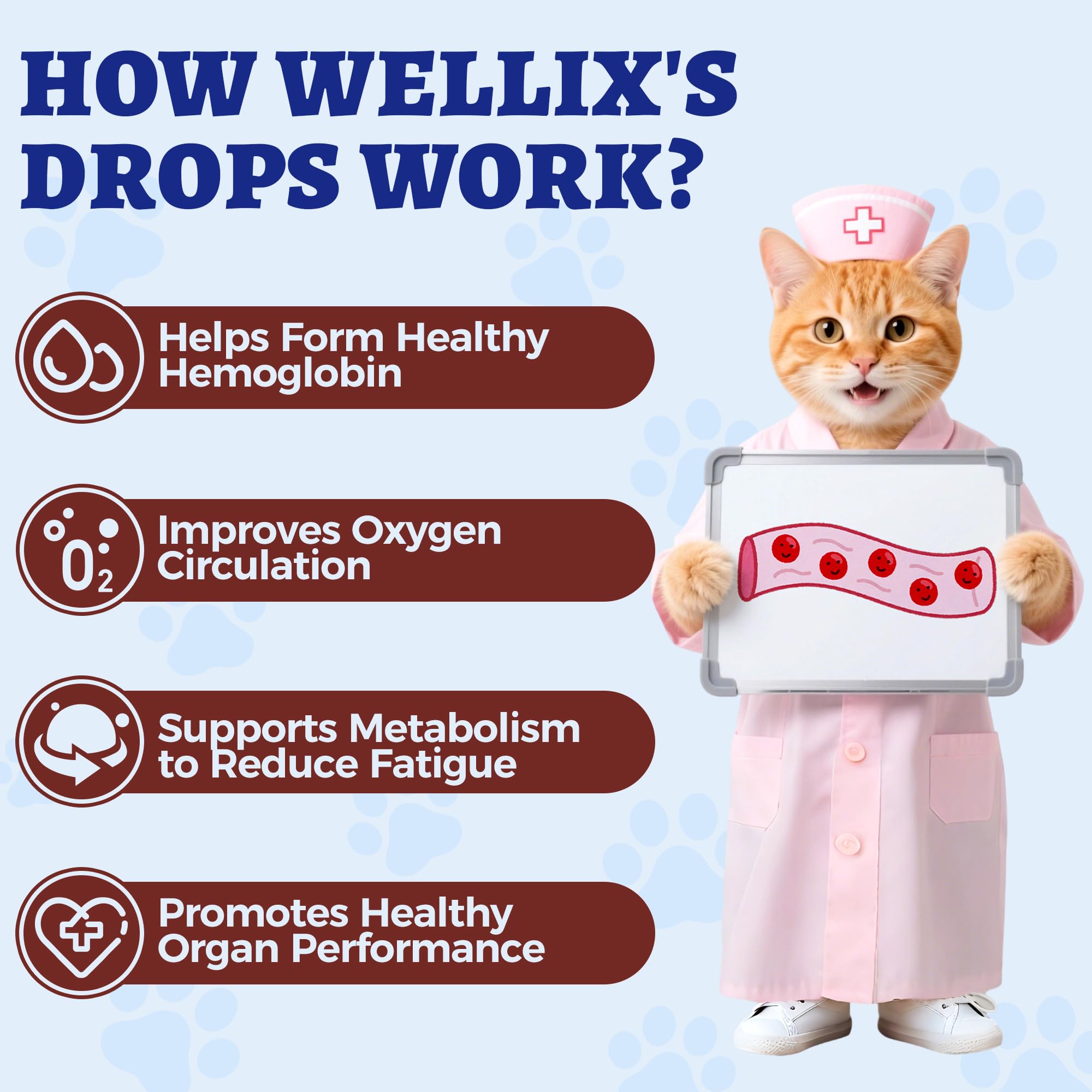 Wellix fer liquide chat – gouttes faciles à ajouter dans l'alimentation.