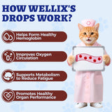 Wellix fer liquide chat – gouttes faciles à ajouter dans l'alimentation.