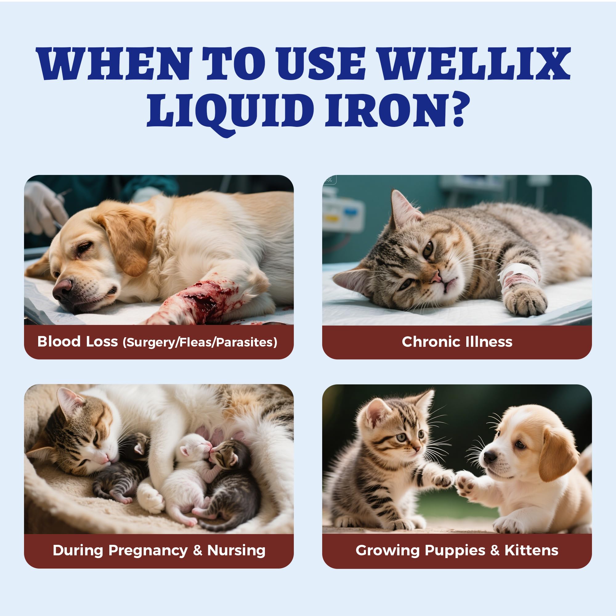Wellix fer liquide chien – pipette précise pour dosage adapté.