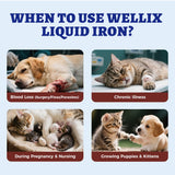 Wellix fer liquide chien – pipette précise pour dosage adapté.