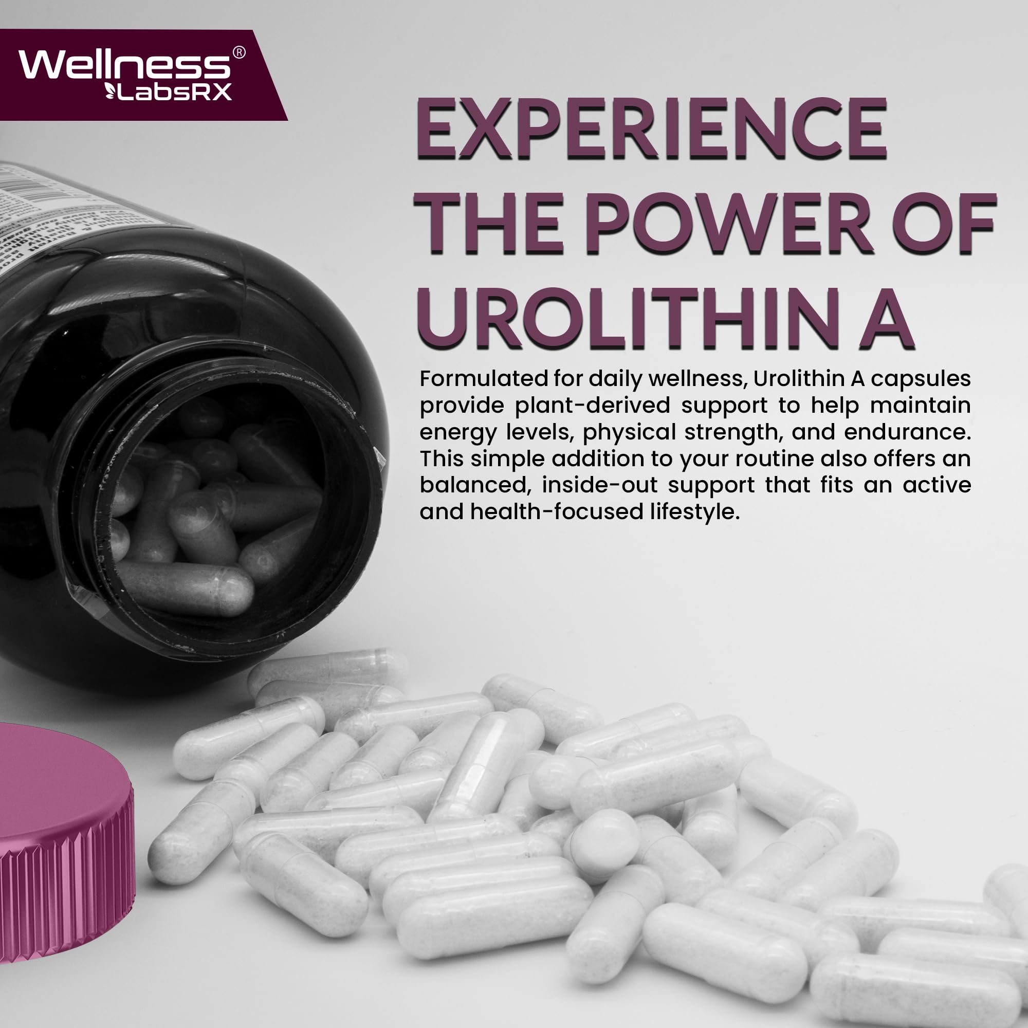 Wellness LabsRx formule liposomale Urolithin A absorption améliorée.