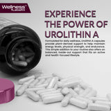 Wellness LabsRx formule liposomale Urolithin A absorption améliorée.