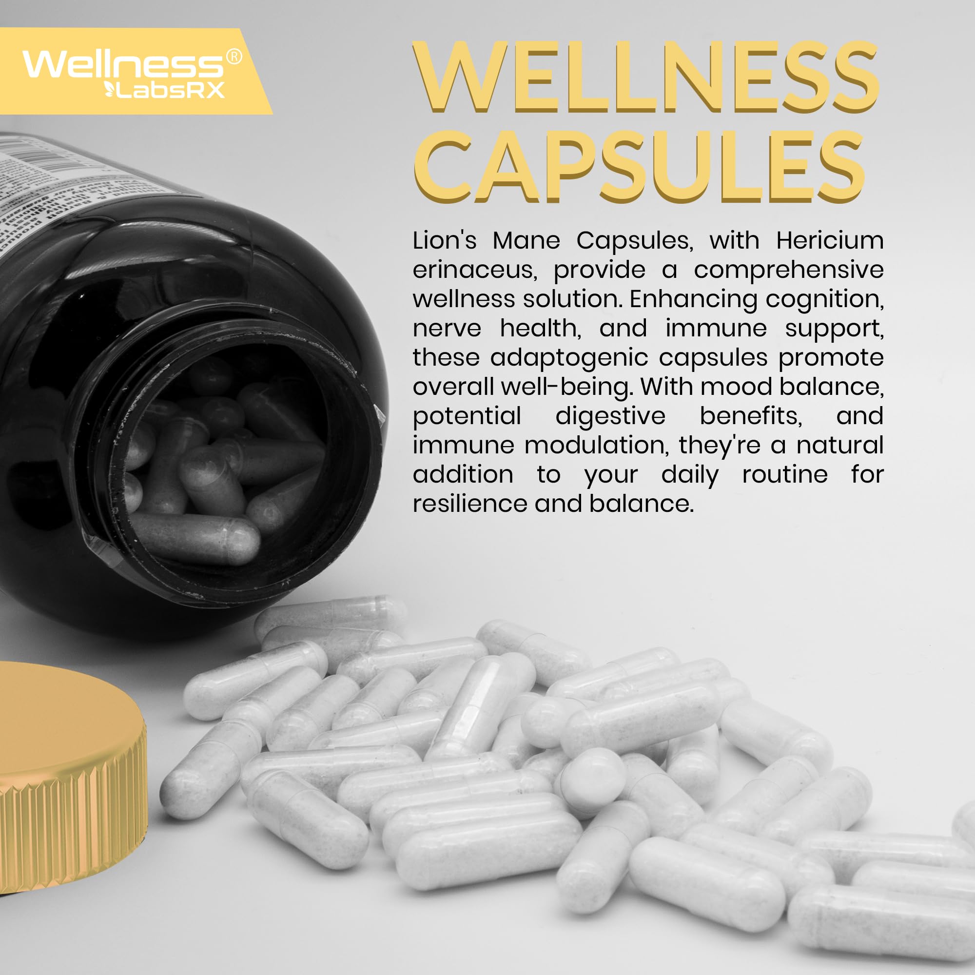 Routine quotidienne Lions Mane WELLNESS LABSRX, énergie et clarté mentale