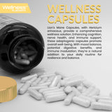 Routine quotidienne Lions Mane WELLNESS LABSRX, énergie et clarté mentale