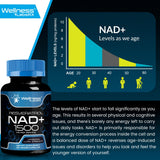 Vue mode de vie avec WELLNESS LABSRX NAD liposomale