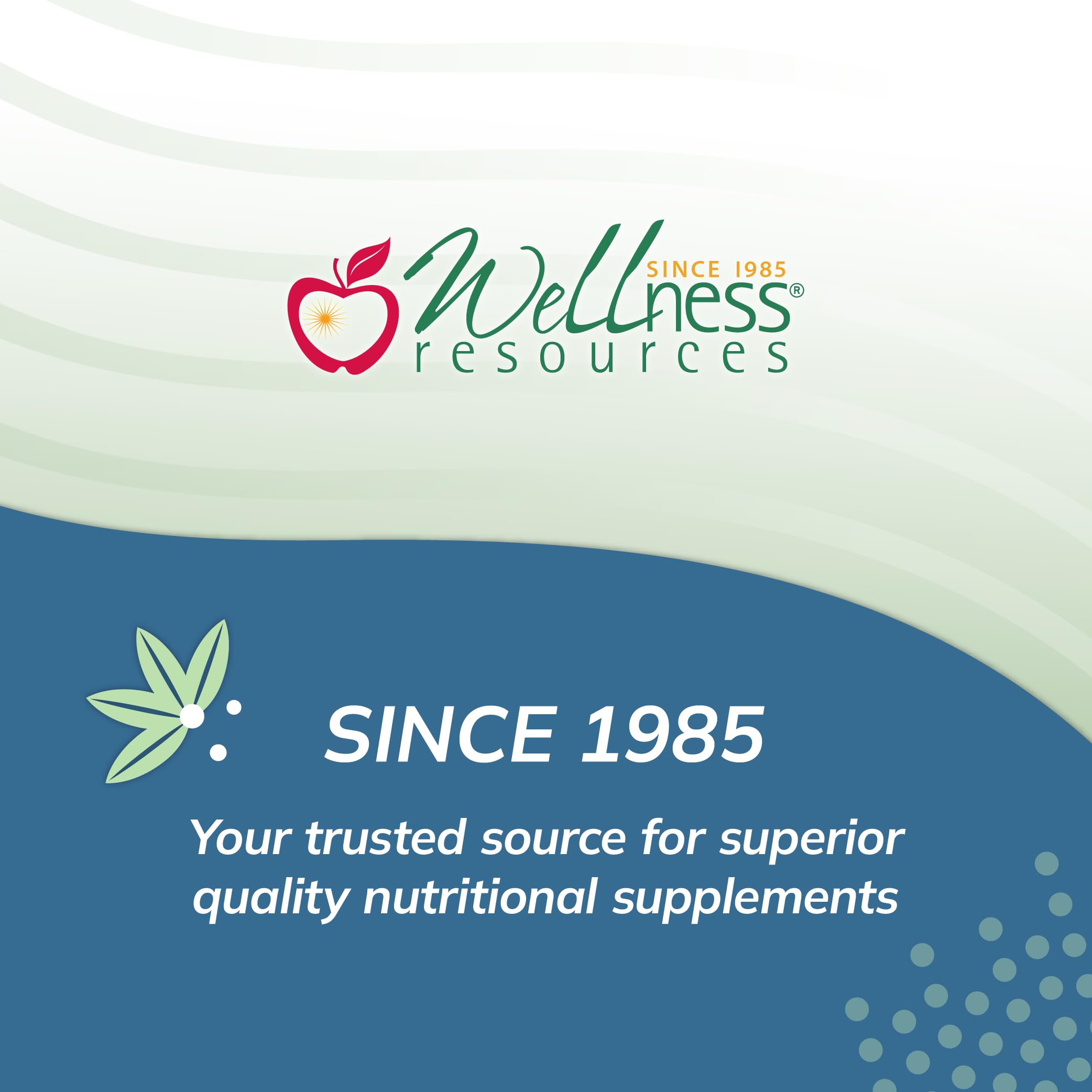 Capsules Fisetin Wellness Resources sur fond clair, démontrant pureté et dosage précis.