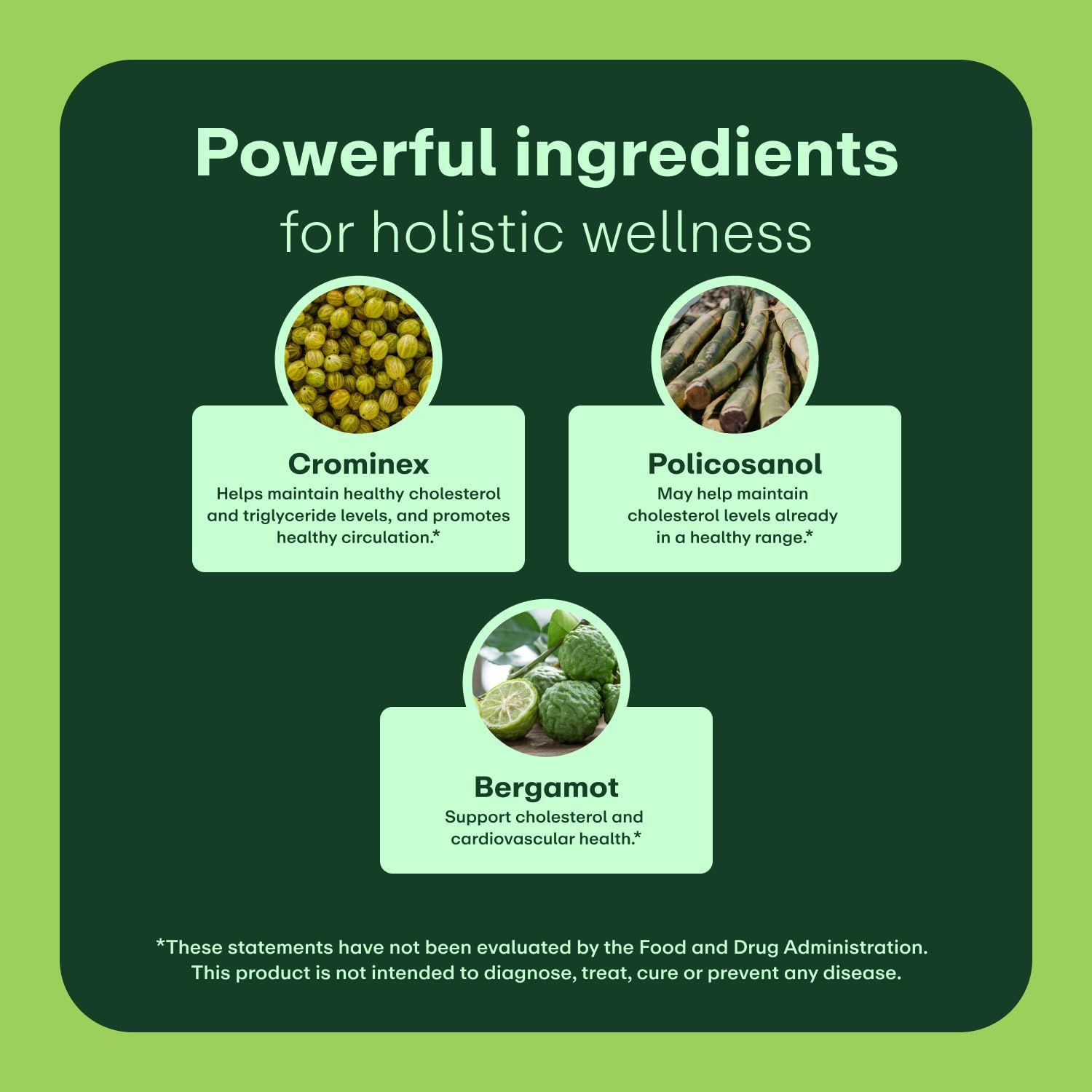 WellWithAll - bergamote italienne, extrait, arôme naturel et soutien potentiel.