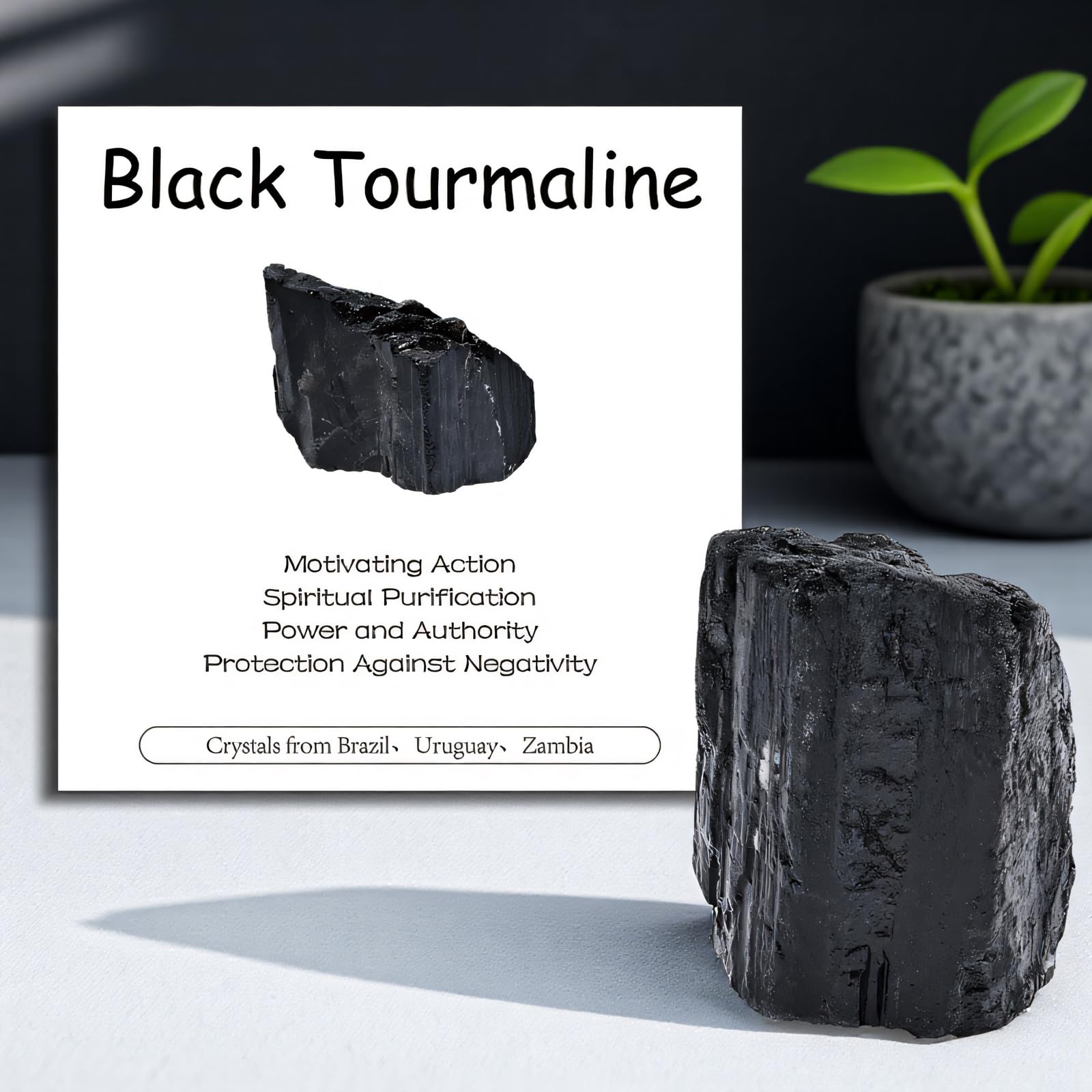 WHAL&YUNE Tourmaline noire brute pose cristal pour grid de cristaux.