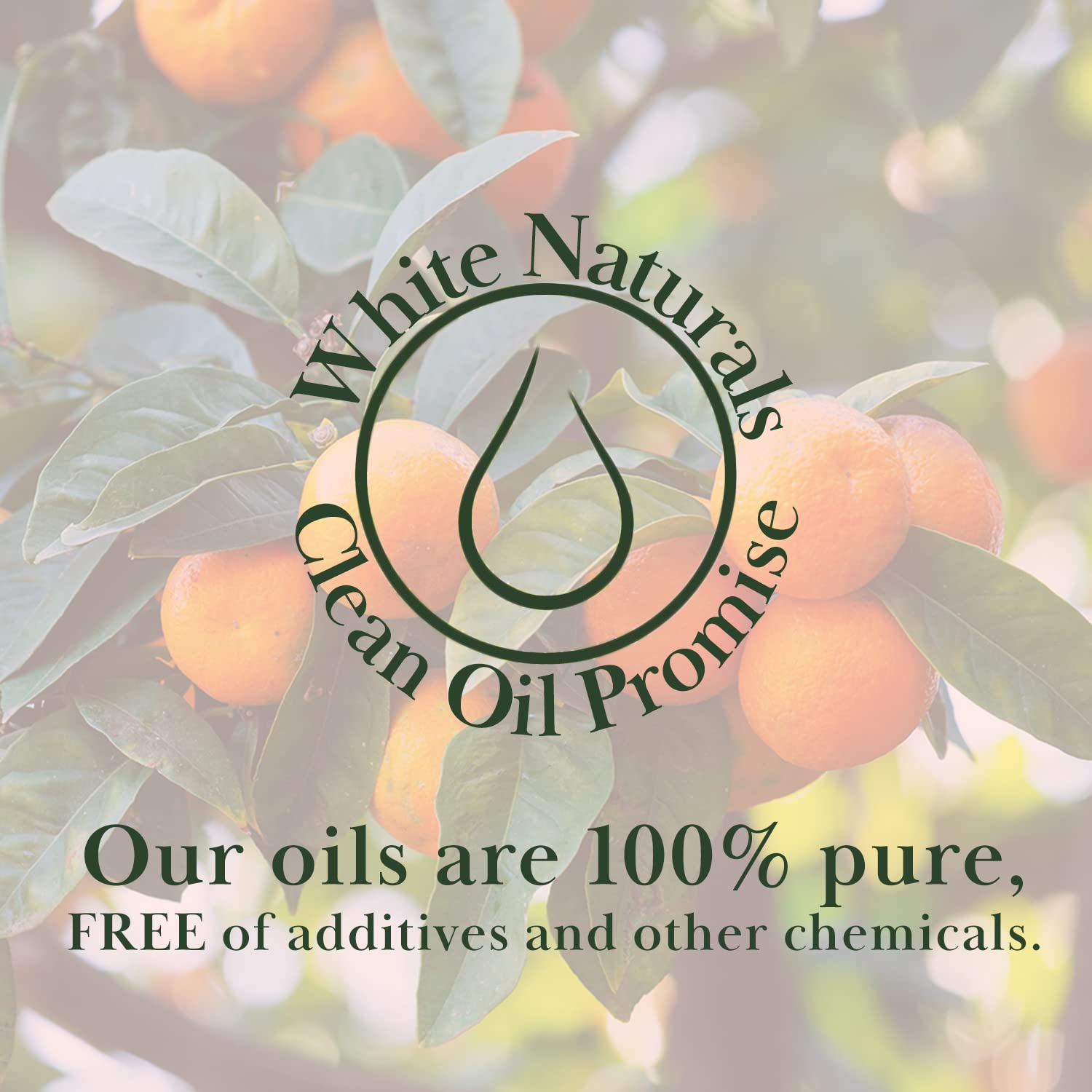 White Naturals huile de pamplemousse savon et lotion diy, enrichit vos créations cosmétiques.