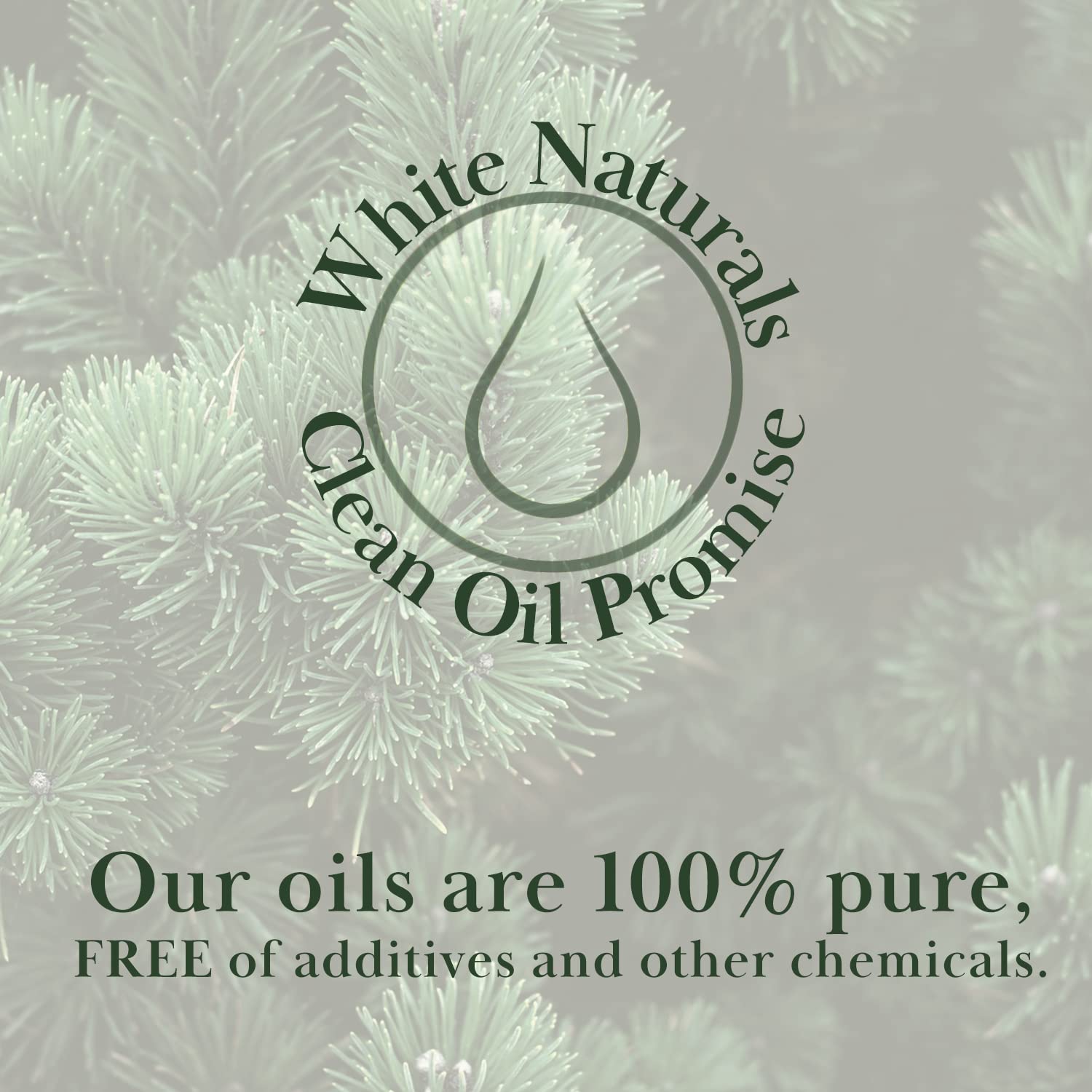 White Naturals pin vegan non-GMO: produit naturel et éthique.