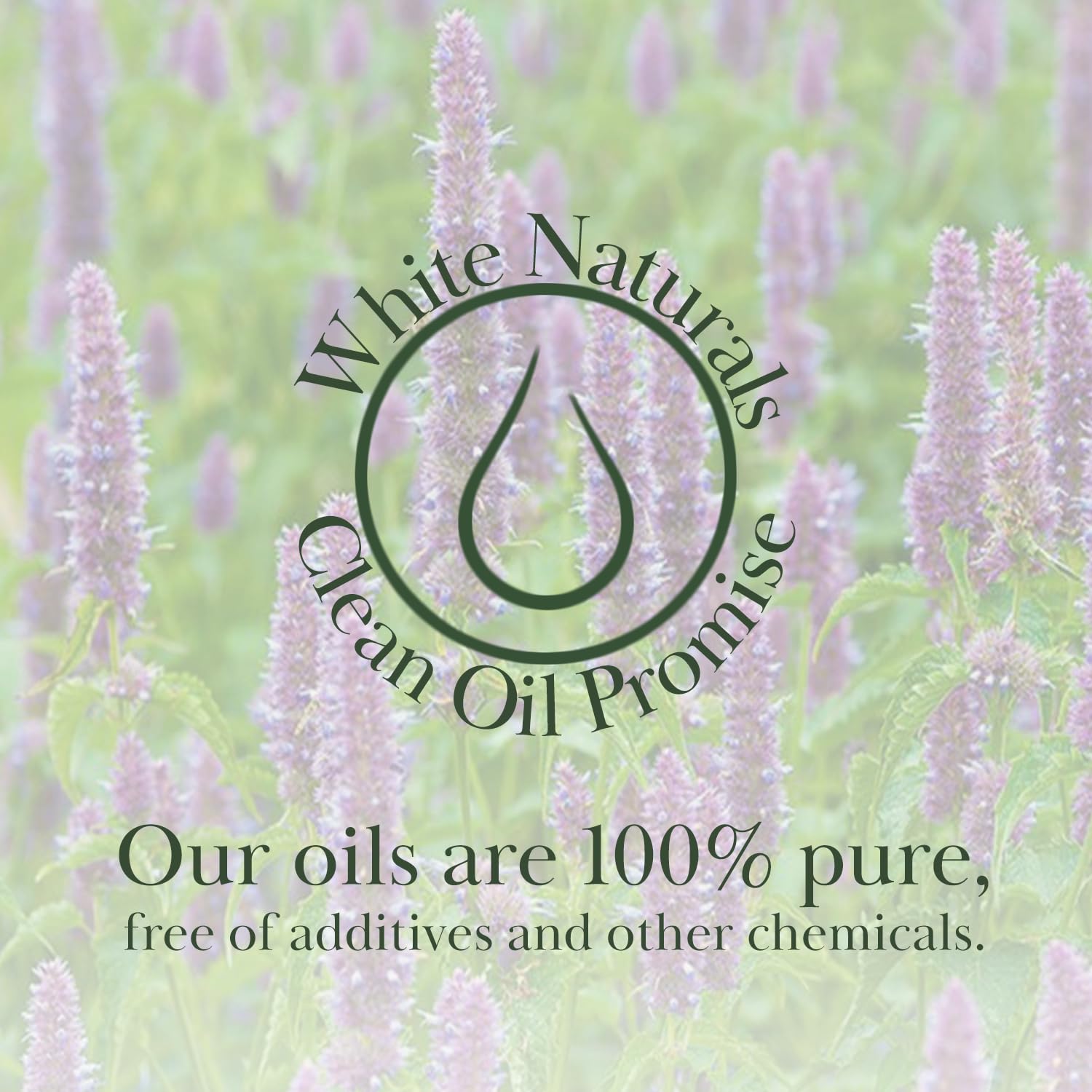 White Naturals Patchouli, moment de détente grâce à un parfum profond.