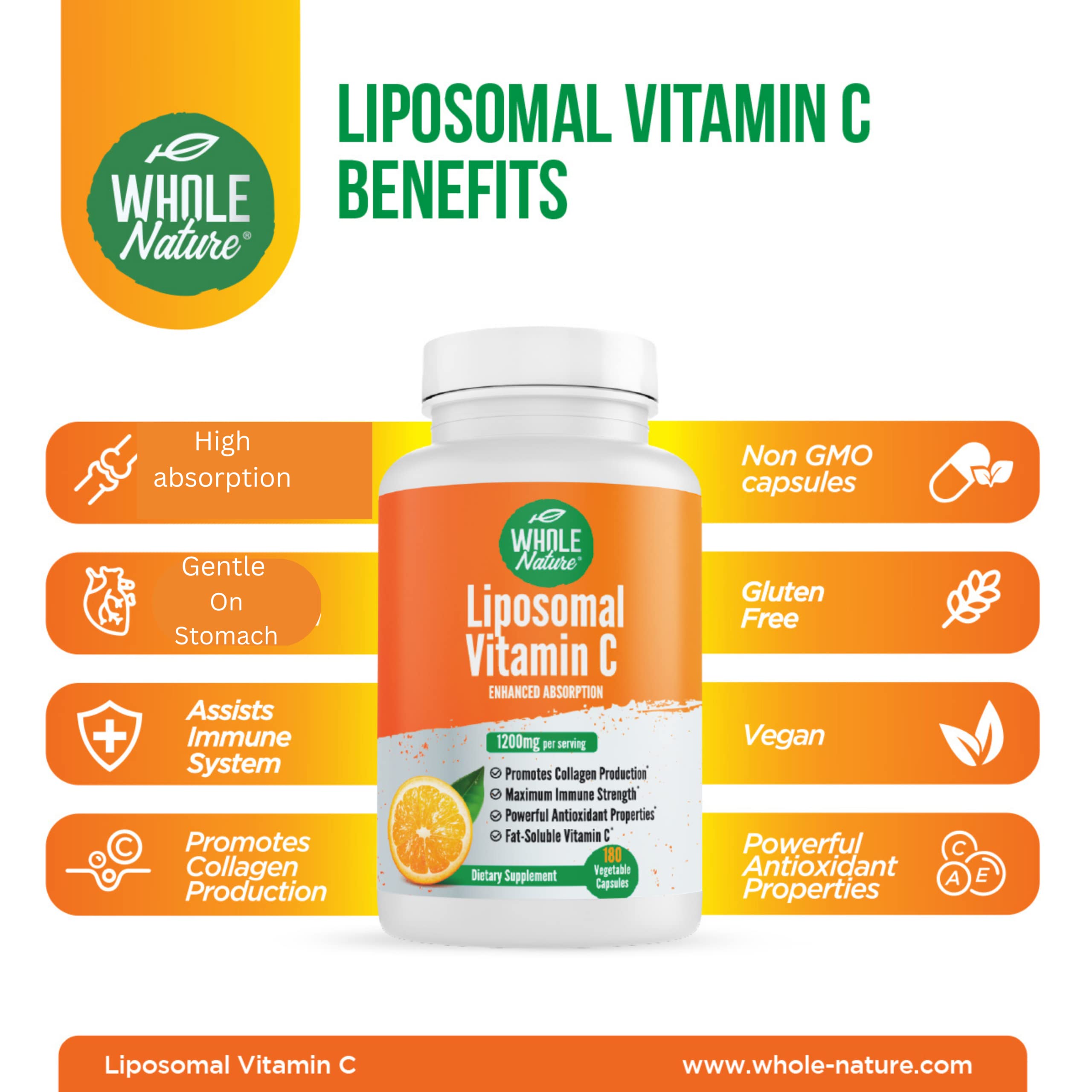 Capsules liposomales à base de tournesol, vue en gros plan, absorption potentielle améliorée.
