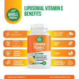 Capsules liposomales à base de tournesol, vue en gros plan, absorption potentielle améliorée.