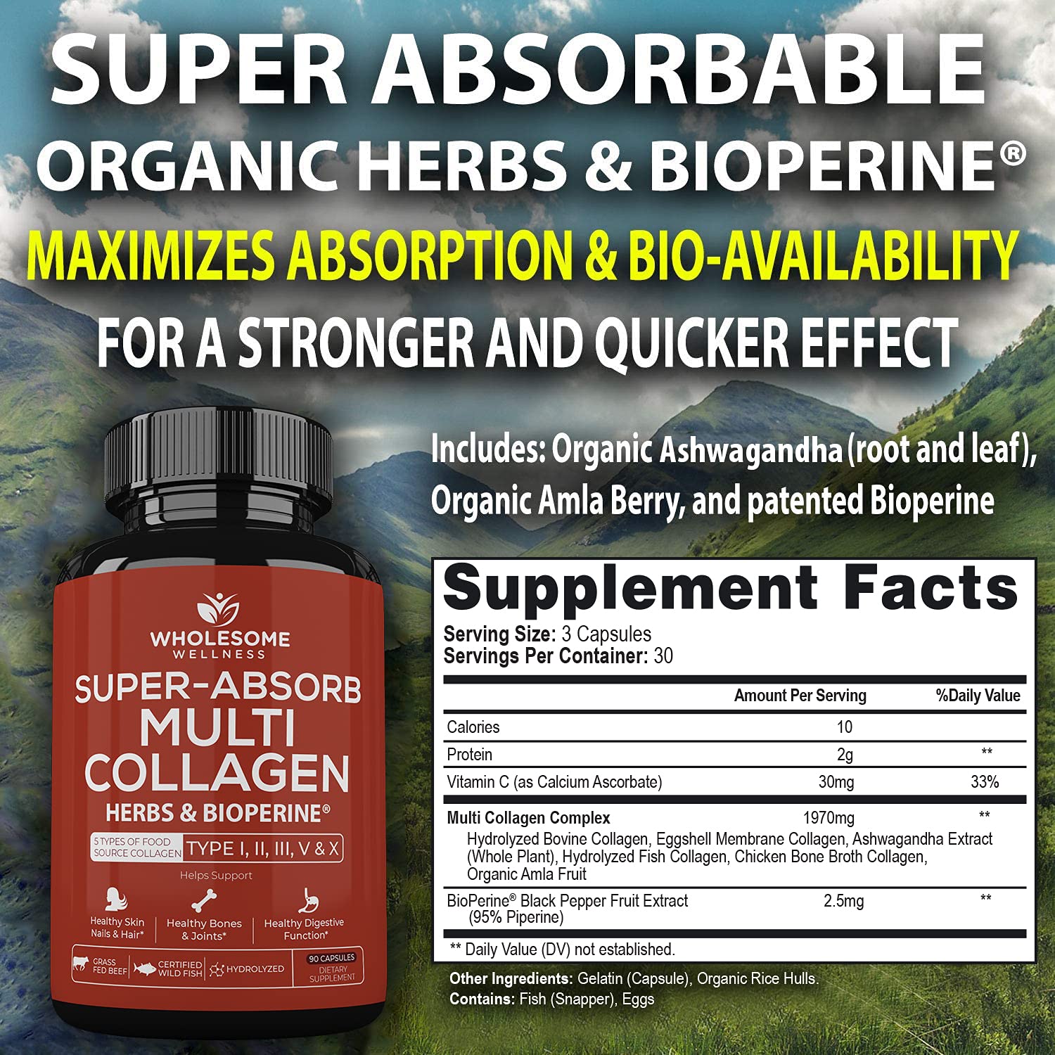 Wholesome Wellness, absorption maximale avec herbes et Bioperine, meilleure assimilation potentielle