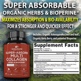 Wholesome Wellness, absorption maximale avec herbes et Bioperine, meilleure assimilation potentielle