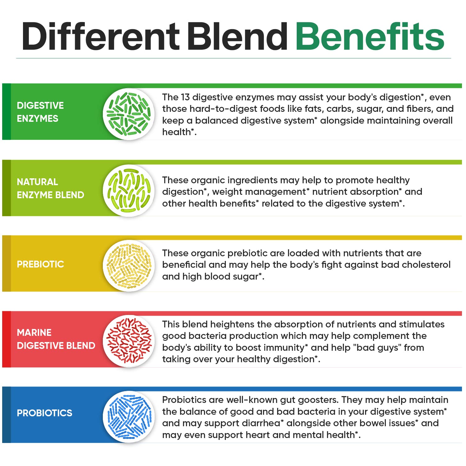 Wholesome Wellness Digestive Enzymes: certification GMP et absence d'allergènes majeurs.