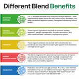 Wholesome Wellness Digestive Enzymes: certification GMP et absence d'allergènes majeurs.