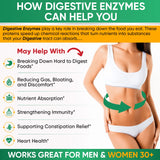 Wholesome Wellness Digestive Enzymes: etiquette d'emballage lisible pour une utilisation aisée.