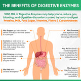 Wholesome Wellness Digestive Enzymes: emballage durable et ingrédients biologiques.