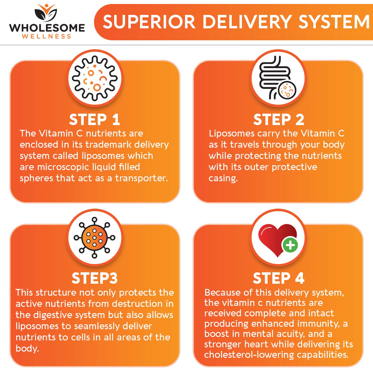 Wholesome Wellness Liposomal Vitamin C – bouchon et gélules, concentration liposomale élevée.