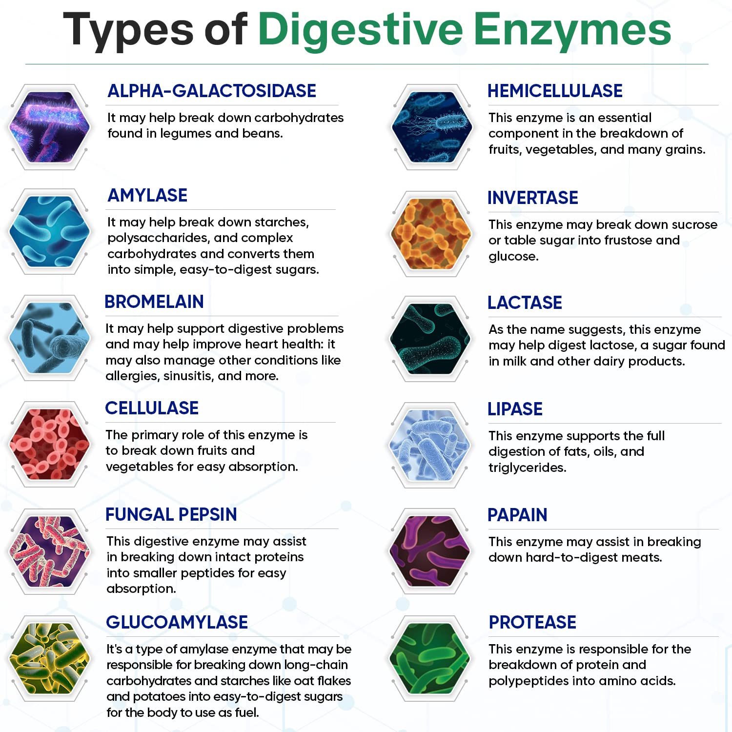 Wholesome Wellness Digestive Enzymes: utilisation recommandée avec les repas pour confort digestif.