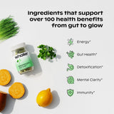 Wholier Supergreens Multi, bouteille ouverte, routine nutritionnelle rapide.