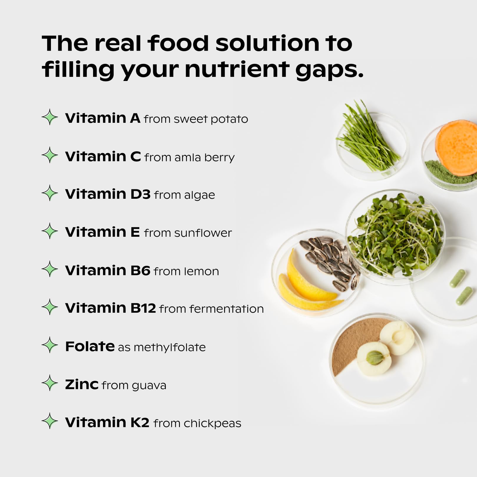 Microgreens concentrés, Wholier Supergreens Multi, densité nutritionnelle élevée.