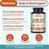 Capsules Why Not Natural Ashwagandha KSM66 dans le flacon, soutien possible au bien-être.