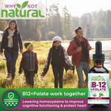 Why Not Natural Vitamine B12 Folate – formule bio et biodisponible.