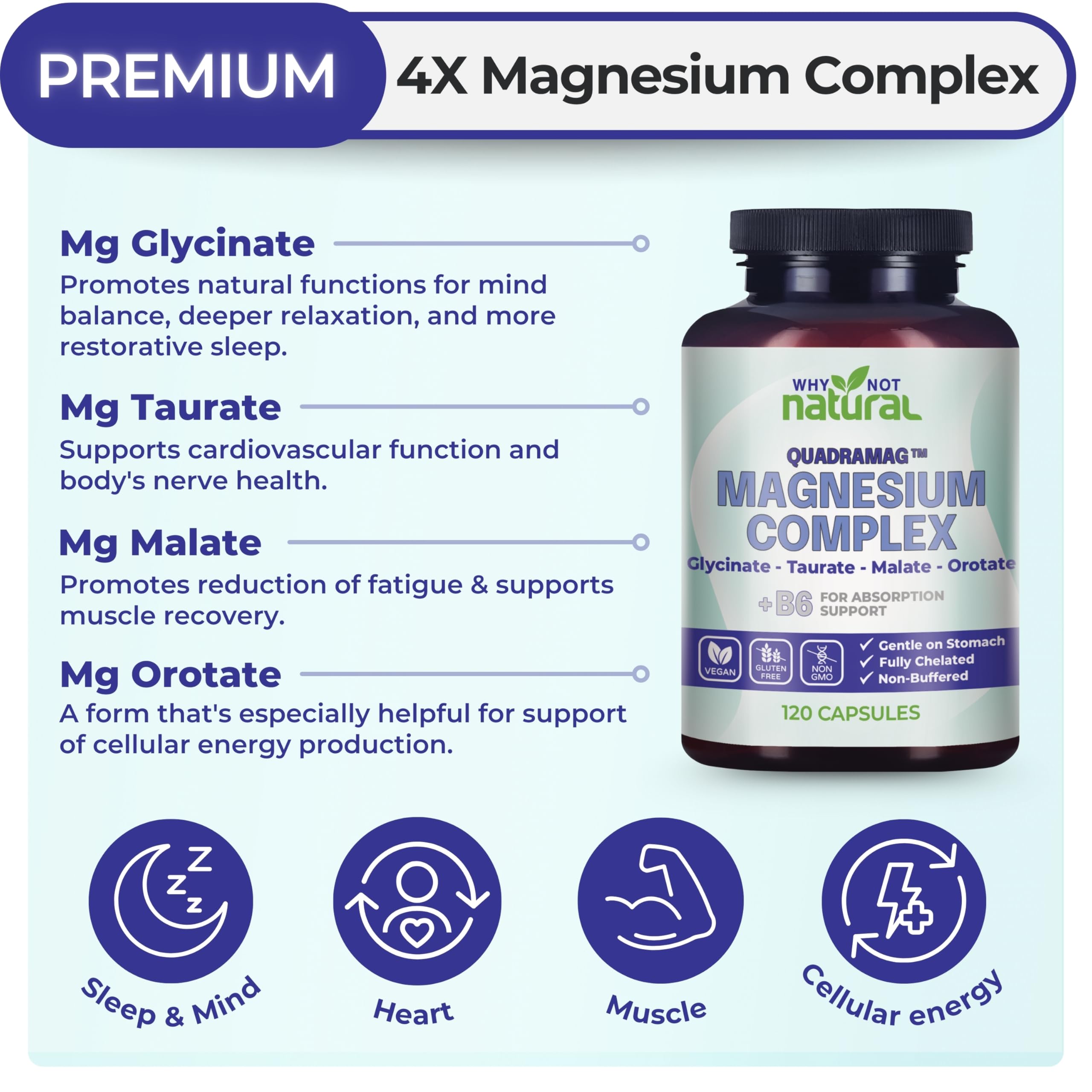 Why Not Natural magnésium 4 en 1 – Capsules en gros plan, absorption efficace